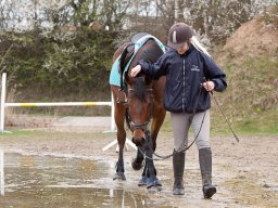 2016 TREC Træning 16 april